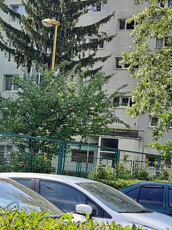Home Uranus 브라쇼브 외부 사진